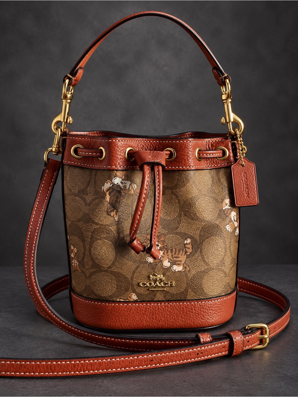 COACH Mini Dempsey Bucket Bag in Signature Canvas with Dancing Kitten Print